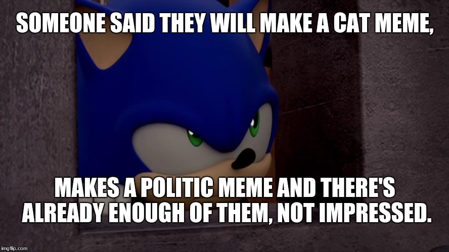 Sonic is Not Impressed - Sonic Boom | SOMEONE SAID THEY WILL MAKE A CAT MEME, MAKES A POLITIC MEME AND THERE'S ALREADY ENOUGH OF THEM, NOT IMPRESSED. | image tagged in sonic is not impressed - sonic boom | made w/ Imgflip meme maker