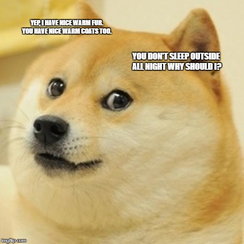 Ironic Cold Dog | YEP, I HAVE NICE WARM FUR. YOU HAVE NICE WARM COATS TOO. YOU DON'T SLEEP OUTSIDE ALL NIGHT WHY SHOULD I? | image tagged in memes,doge | made w/ Imgflip meme maker
