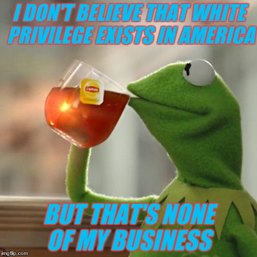 Brace yourselves, liberals are coming... | I DON'T BELIEVE THAT WHITE PRIVILEGE EXISTS IN AMERICA; BUT THAT'S NONE OF MY BUSINESS | image tagged in memes,but thats none of my business,kermit the frog,scumbag | made w/ Imgflip meme maker