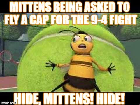 Imperium's Fearless Leader Mittens | MITTENS BEING ASKED TO FLY A CAP FOR THE 9-4 FIGHT; HIDE, MITTENS! HIDE! | image tagged in eve online | made w/ Imgflip meme maker