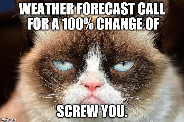 Grumpy Cat Not Amused Meme | WEATHER FORECAST CALL FOR A 100% CHANGE OF; SCREW YOU. | image tagged in memes,grumpy cat not amused,grumpy cat | made w/ Imgflip meme maker