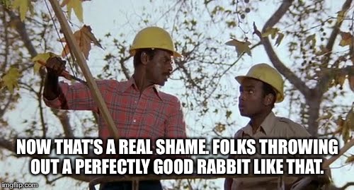 NOW THAT'S A REAL SHAME. FOLKS THROWING OUT A PERFECTLY GOOD RABBIT LIKE THAT. | made w/ Imgflip meme maker