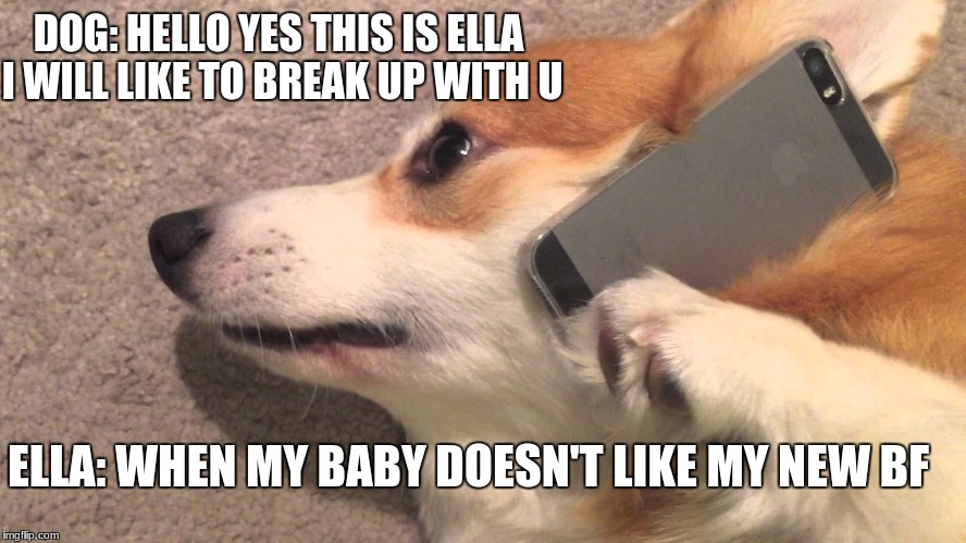 Corgi on the phone  | DOG: HELLO YES THIS IS ELLA I WILL LIKE TO BREAK UP WITH U; ELLA: WHEN MY BABY DOESN'T LIKE MY NEW BF | image tagged in corgi on the phone | made w/ Imgflip meme maker