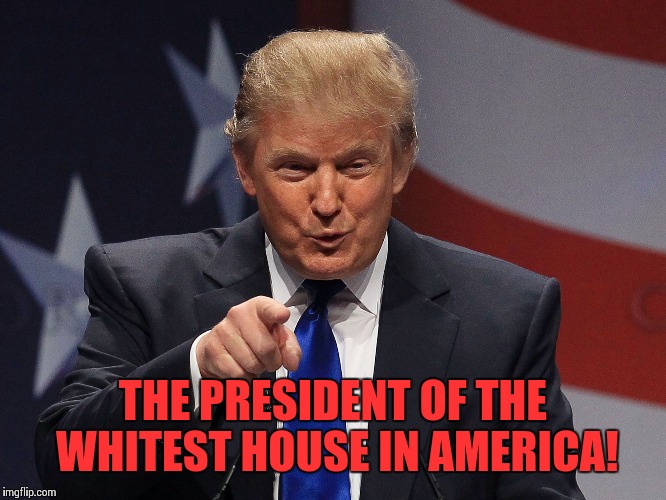 Donald Trump  | THE PRESIDENT OF THE WHITEST HOUSE IN AMERICA! | image tagged in donald trump | made w/ Imgflip meme maker