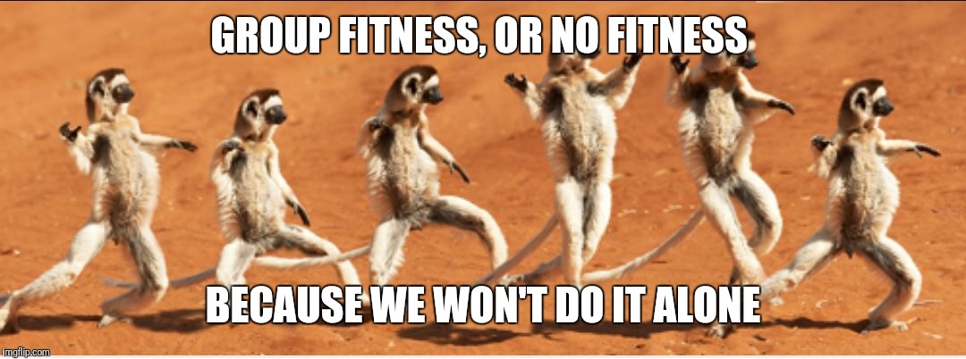 Group fitness lemurs | GROUP FITNESS, OR NO FITNESS; BECAUSE WE WON'T DO IT ALONE | image tagged in group fitness,fitness,exercise,workout,gym | made w/ Imgflip meme maker