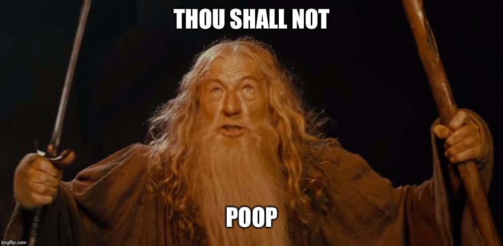 Thou shall not... | THOU SHALL NOT; POOP | image tagged in gandalf | made w/ Imgflip meme maker