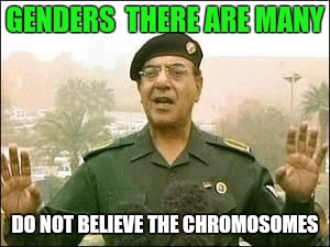 Thanks Baghdad Bob for speaking for the main stream media on gender. | GENDERS  THERE ARE MANY; DO NOT BELIEVE THE CHROMOSOMES | image tagged in baghdad bob,2 genders | made w/ Imgflip meme maker