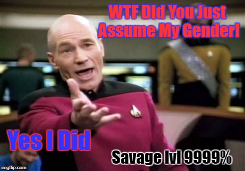 savage picard | WTF Did You Just Assume My Gender! Yes I Did; Savage lvl 9999% | image tagged in memes,picard wtf,savage,wtf,legos,lies | made w/ Imgflip meme maker