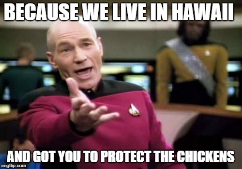 Picard Wtf Meme | BECAUSE WE LIVE IN HAWAII AND GOT YOU TO PROTECT THE CHICKENS | image tagged in memes,picard wtf | made w/ Imgflip meme maker
