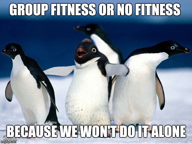 Group fitness penguins | GROUP FITNESS OR NO FITNESS; BECAUSE WE WON'T DO IT ALONE | image tagged in group fitness,exercise,gym,workout,fitness class | made w/ Imgflip meme maker