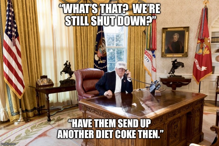 Who was really on tbe other end of that phone? | “WHAT’S THAT?  WE’RE STILL SHUT DOWN?”; “HAVE THEM SEND UP ANOTHER DIET COKE THEN.” | image tagged in shutdown trump,trump,diet coke | made w/ Imgflip meme maker