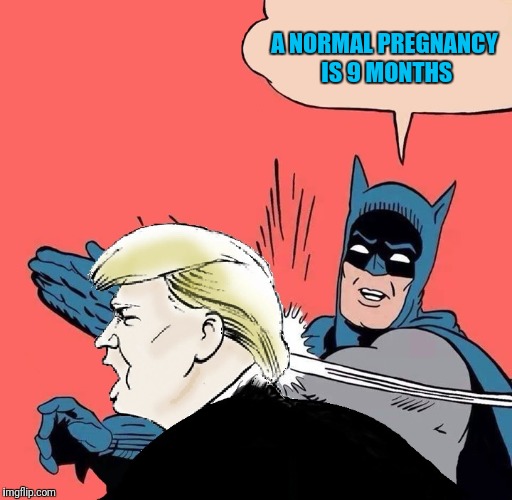 Batman slaps Trump | A NORMAL PREGNANCY IS 9 MONTHS | image tagged in batman slaps trump | made w/ Imgflip meme maker