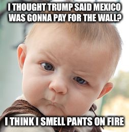 Lyin trump | I THOUGHT TRUMP SAID MEXICO WAS GONNA PAY FOR THE WALL? I THINK I SMELL PANTS ON FIRE | image tagged in memes,skeptical baby,mexico wall,trump daca,trump liar,trump meme | made w/ Imgflip meme maker