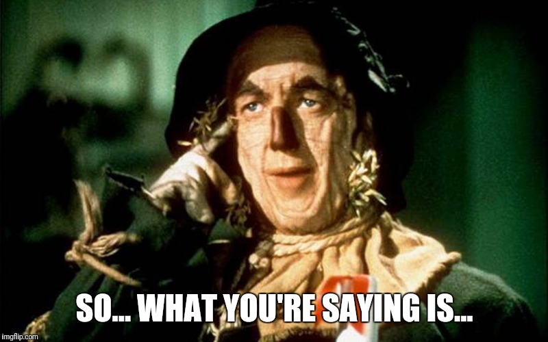 Oz Scarecrow | SO... WHAT YOU'RE SAYING IS... | image tagged in oz scarecrow | made w/ Imgflip meme maker