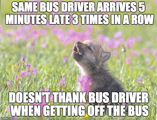 Baby Insanity Wolf Meme | SAME BUS DRIVER ARRIVES 5 MINUTES LATE 3 TIMES IN A ROW; DOESN'T THANK BUS DRIVER WHEN GETTING OFF THE BUS | image tagged in memes,baby insanity wolf | made w/ Imgflip meme maker