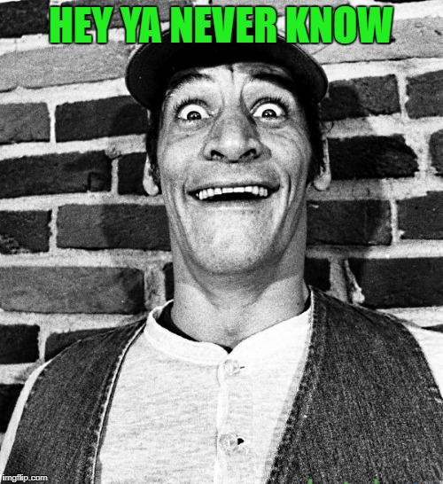 know what i mean Vern? | HEY YA NEVER KNOW | image tagged in know what i mean vern | made w/ Imgflip meme maker