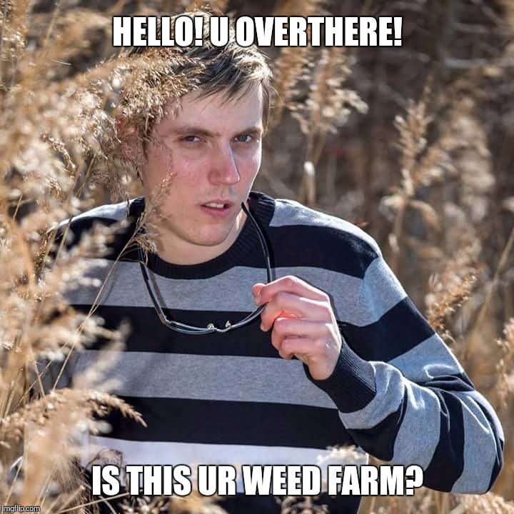  Is this a weed?  | HELLO! U OVERTHERE! IS THIS UR WEED FARM? | image tagged in is this a weed,weed,busted,911,sexy,austria | made w/ Imgflip meme maker
