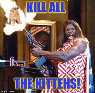 KILL ALL THE KITTEHS! | made w/ Imgflip meme maker