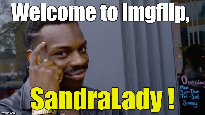 Roll Safe Think About It Meme | Welcome to imgflip, SandraLady ! | image tagged in memes,roll safe think about it | made w/ Imgflip meme maker