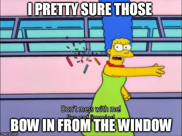 Window sprinkles  | I PRETTY SURE THOSE; BOW IN FROM THE WINDOW | image tagged in marge simpson | made w/ Imgflip meme maker