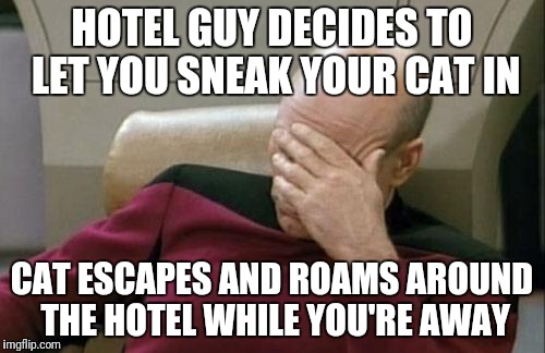 Captain Picard Facepalm Meme | HOTEL GUY DECIDES TO LET YOU SNEAK YOUR CAT IN; CAT ESCAPES AND ROAMS AROUND THE HOTEL WHILE YOU'RE AWAY | image tagged in memes,captain picard facepalm | made w/ Imgflip meme maker