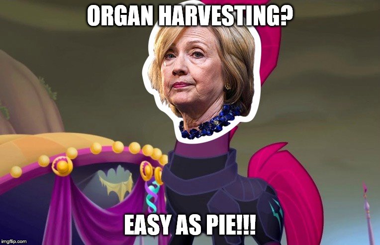 Tempest Clinton | ORGAN HARVESTING? EASY AS PIE!!! | image tagged in tempest shadow,my little pony,hillary clinton,demonrats | made w/ Imgflip meme maker