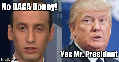 Your real President finally revealed | No DACA Donny! Yes Mr. President | image tagged in president stephen miller,memes,lying,donald trump the clown | made w/ Imgflip meme maker