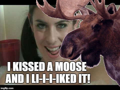 Projected social trends of 2023 | I KISSED A MOOSE AND I LI-I-I-IKED IT! | image tagged in katey perry,moose smoochin',shoop | made w/ Imgflip meme maker