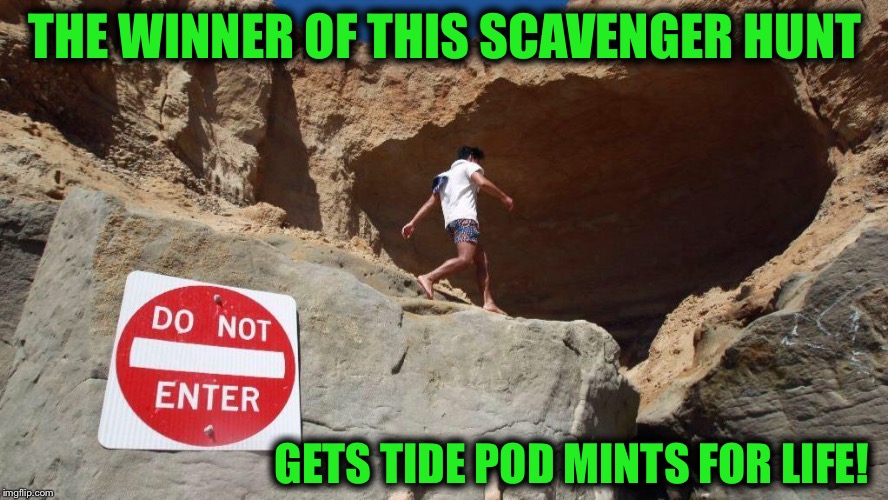 They do make Mint Flavor...right? | THE WINNER OF THIS SCAVENGER HUNT; GETS TIDE POD MINTS FOR LIFE! | image tagged in tide pod challenge,scavenger hunt,darwin awards | made w/ Imgflip meme maker
