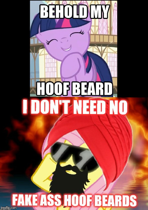 image tagged in my little pony,twilight,beard | made w/ Imgflip meme maker