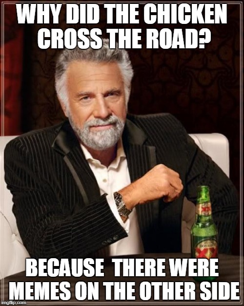 The Most Interesting Man In The World | WHY DID THE CHICKEN CROSS THE ROAD? BECAUSE  THERE WERE MEMES ON THE OTHER SIDE | image tagged in memes,the most interesting man in the world | made w/ Imgflip meme maker