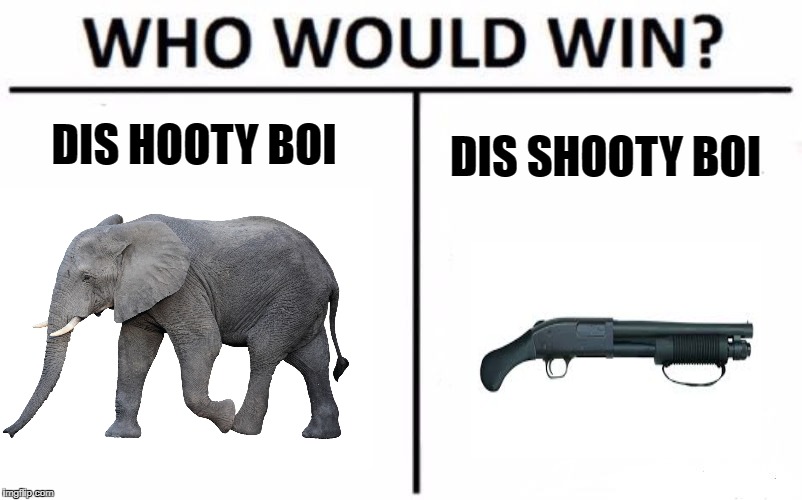 Who Would Win? | DIS HOOTY BOI; DIS SHOOTY BOI | image tagged in memes,who would win | made w/ Imgflip meme maker