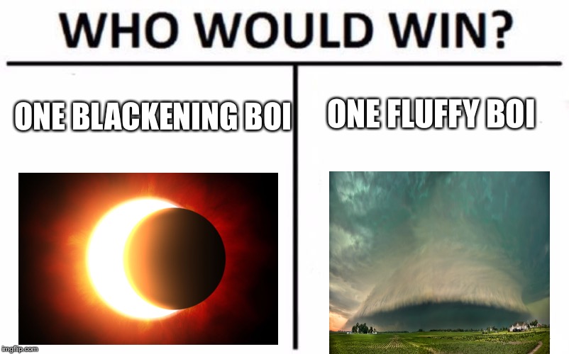 Who Would Win? Meme | ONE FLUFFY BOI; ONE BLACKENING BOI | image tagged in memes,who would win | made w/ Imgflip meme maker