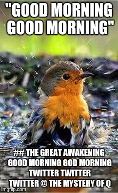 "GOOD MORNING GOOD MORNING"; ## THE GREAT AWAKENING GOOD MORNING GOD MORNING TWITTER TWITTER TWITTER @ THE MYSTERY OF Q | image tagged in the great awakening | made w/ Imgflip meme maker