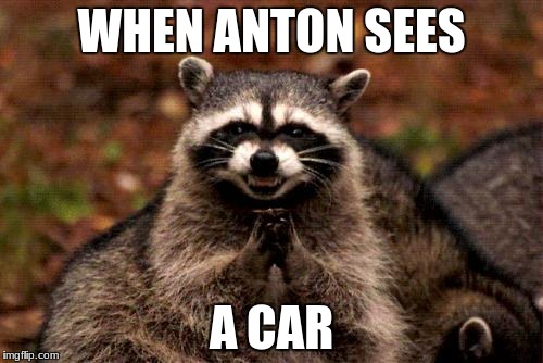 Evil Plotting Raccoon Meme | WHEN ANTON SEES; A CAR | image tagged in memes,evil plotting raccoon | made w/ Imgflip meme maker