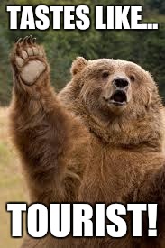 grizzly bear | TASTES LIKE... TOURIST! | image tagged in grizzly bear | made w/ Imgflip meme maker