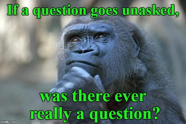 that is the question | If a question goes unasked, was there ever really a question? | image tagged in that is the question | made w/ Imgflip meme maker