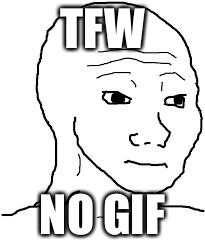 tfw no gf | TFW; NO GIF | image tagged in tfw no gf | made w/ Imgflip meme maker