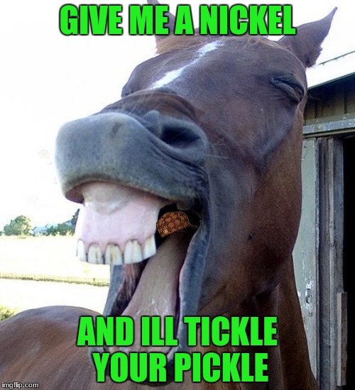 Funny Horse Face | GIVE ME A NICKEL; AND ILL TICKLE YOUR PICKLE | image tagged in funny horse face,scumbag,memes | made w/ Imgflip meme maker