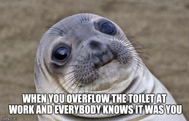 Awkward Moment Sealion Meme | WHEN YOU OVERFLOW THE TOILET AT WORK AND EVERYBODY KNOWS IT WAS YOU | image tagged in memes,awkward moment sealion,toilet,work | made w/ Imgflip meme maker