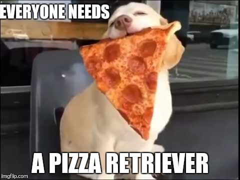 PIZZA SPIRIT ANIMAL | EVERYONE NEEDS; A PIZZA RETRIEVER | image tagged in pizza spirit animal | made w/ Imgflip meme maker
