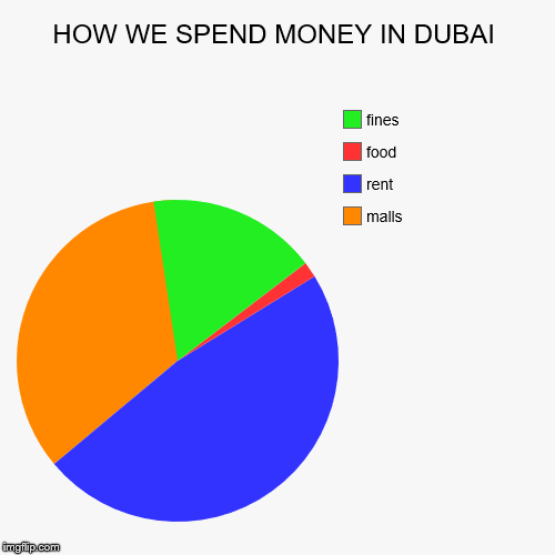 HOW WE SPEND MONEY IN DUBAI | malls, rent, food, fines | image tagged in funny,pie charts | made w/ Imgflip chart maker