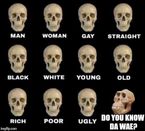 idiot skull | DO YOU KNOW DA WAE? | image tagged in idiot skull | made w/ Imgflip meme maker
