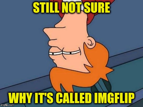 Futurama Fry Meme | STILL NOT SURE; WHY IT'S CALLED IMGFLIP | image tagged in memes,futurama fry | made w/ Imgflip meme maker