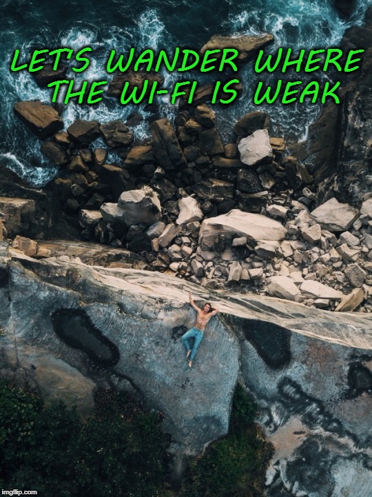 LET'S WANDER WHERE THE WI-FI IS WEAK | image tagged in nature | made w/ Imgflip meme maker