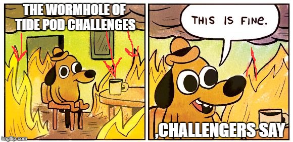 wormhole of tide pod challenge | THE WORMHOLE OF TIDE POD CHALLENGES; ,CHALLENGERS SAY | image tagged in this is fine dog,tide pod challenge | made w/ Imgflip meme maker