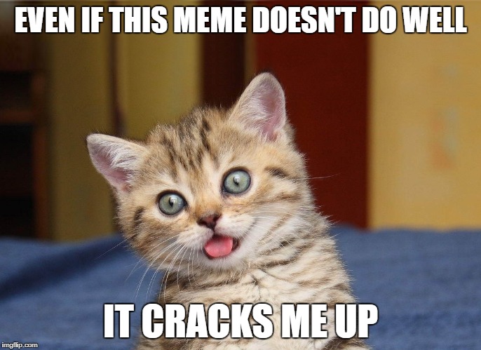 EVEN IF THIS MEME DOESN'T DO WELL IT CRACKS ME UP | made w/ Imgflip meme maker