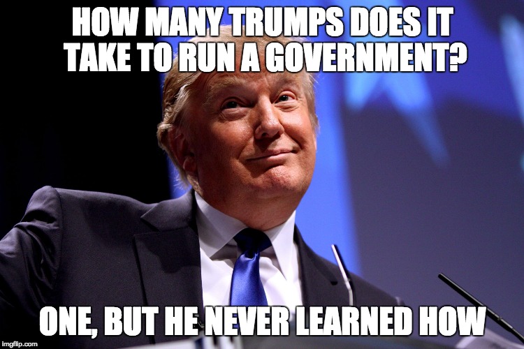 Donald Trump No2 | HOW MANY TRUMPS DOES IT TAKE TO RUN A GOVERNMENT? ONE, BUT HE NEVER LEARNED HOW | image tagged in donald trump no2 | made w/ Imgflip meme maker