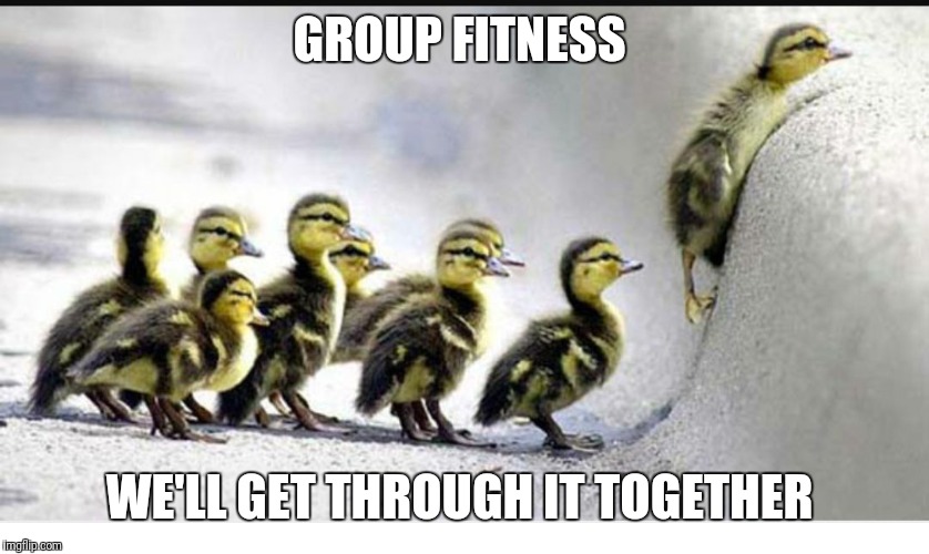 Group fitness ducks | GROUP FITNESS; WE'LL GET THROUGH IT TOGETHER | image tagged in group fitness,exercise,workout,gym,motivation,ducks | made w/ Imgflip meme maker