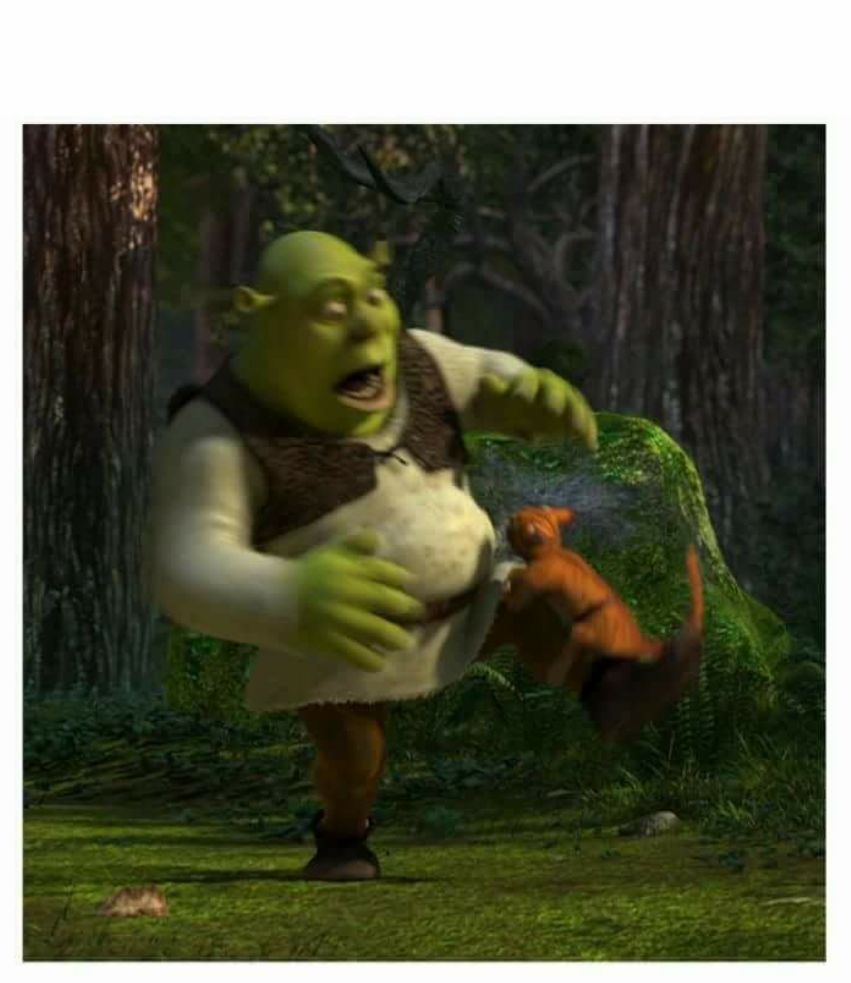 Shrek suprised Blank Meme Template